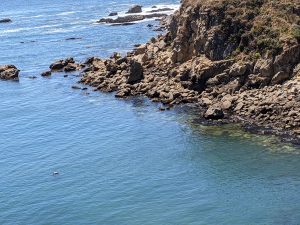 Pacific Ocean at Gerstle Cove