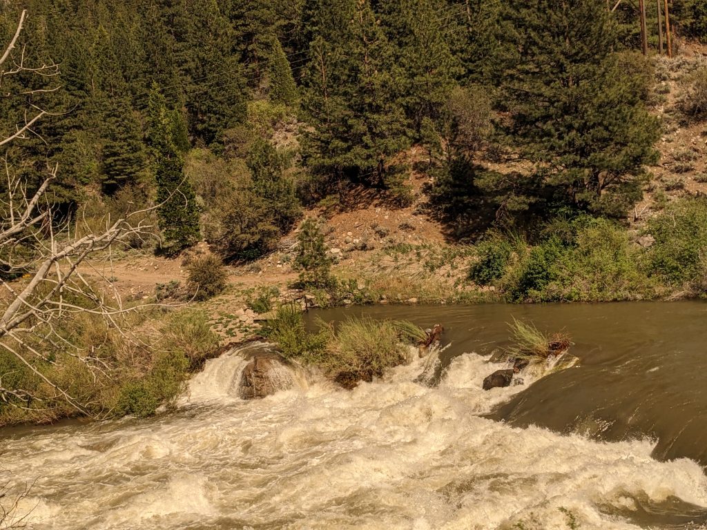 a flowing river in Eastern California in the Sierra Mountains