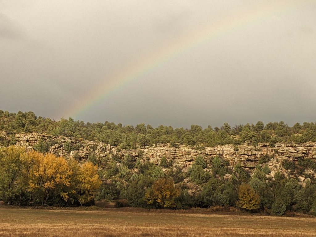 Rainbow over trees in a gray sky.