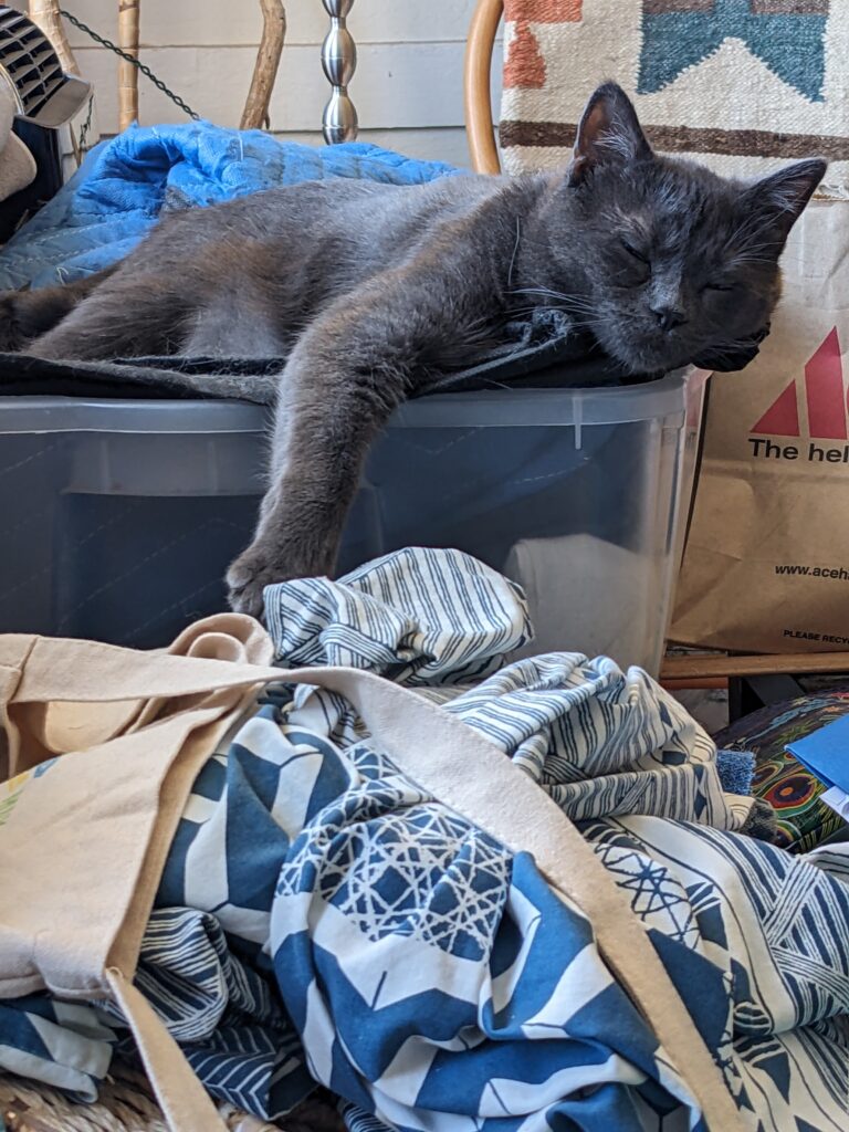 a gray cat sleeping, with one front leg dangling over the edge of a box.